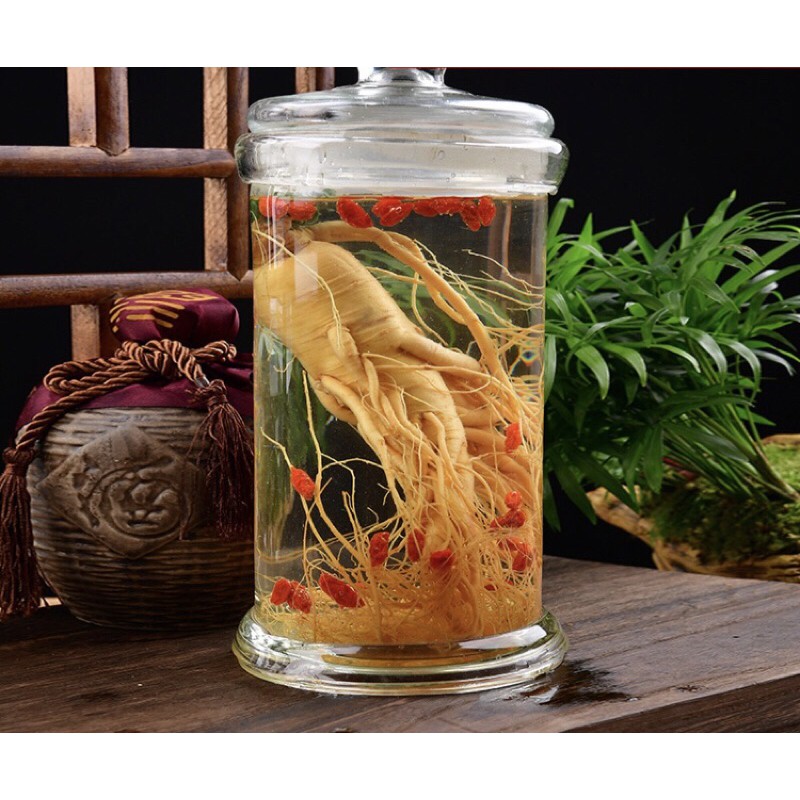 Nhân Sâm Tươi Tây tạng | BigBuy360 - bigbuy360.vn