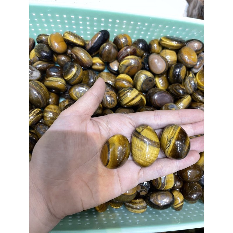 Palm đá măt hô - Đá thanh tẩy, tarot | BigBuy360 - bigbuy360.vn