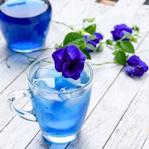 [Đại lý Ocean] Bộ 6 cốc ly thủy tinh thái lan UNION pha trà nóng đẹp cao cấp UG343 - 320ml