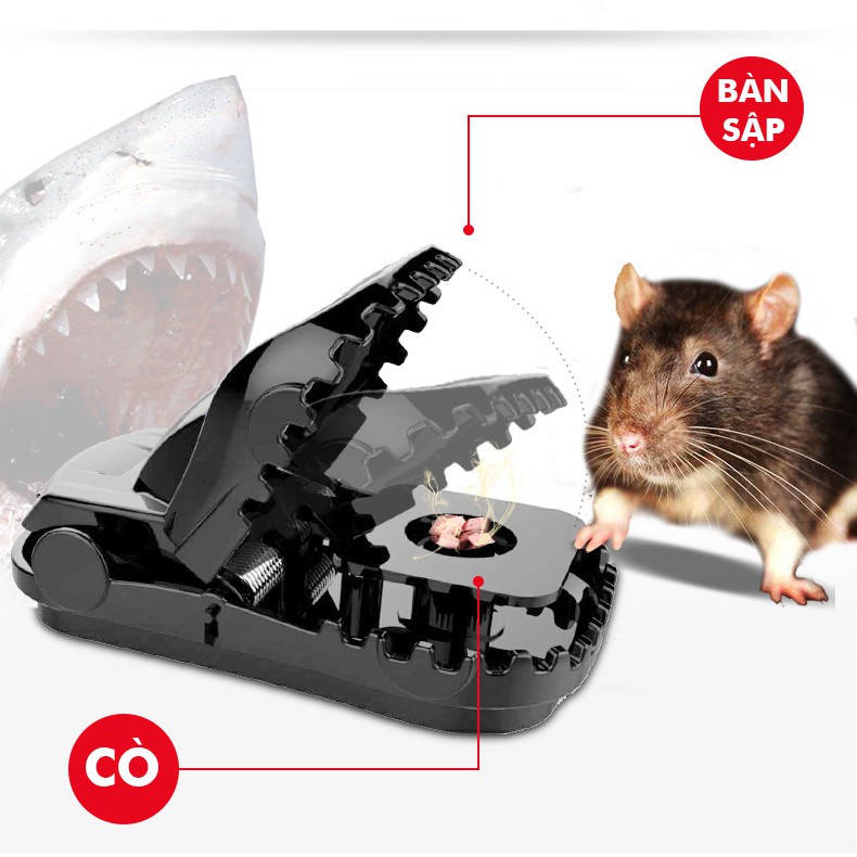 Bẫy chuột thông minh - mẫu mới nhất, hiệu quả, an toàn cho người dùng