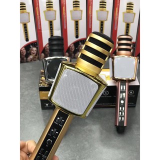 Mic hát karaoke SD-17