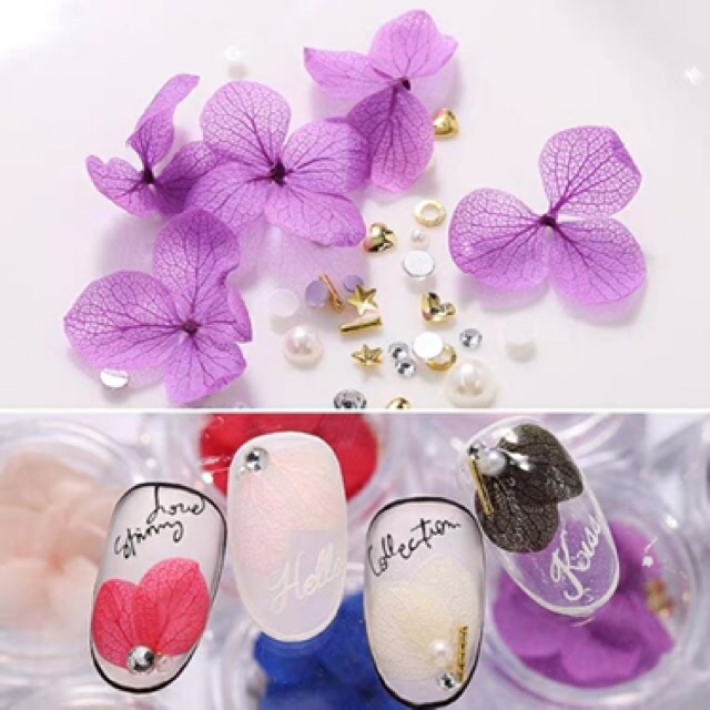 Hoa khô lụa cánh to