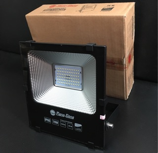 Đèn led chiếu pha 70W Rạng Đông