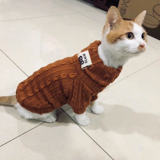 ÁO LEN CỔ LỌ DÀNH CHO CHÓ MÈO