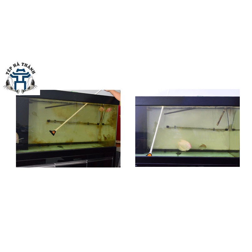 Cây Cọ Vệ Sinh Mặt Kính Bể Cá Có Thể Tháo Rời Bằng Mút Cho Bể Cá Cảnh, Bể Thủy Sinh