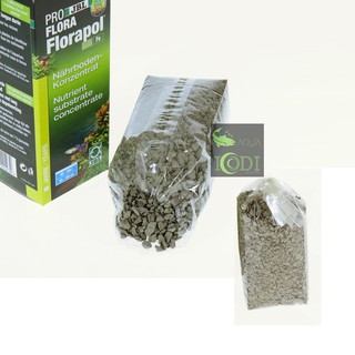 Phân lót nền thủy sinh JBL Florapol 700g