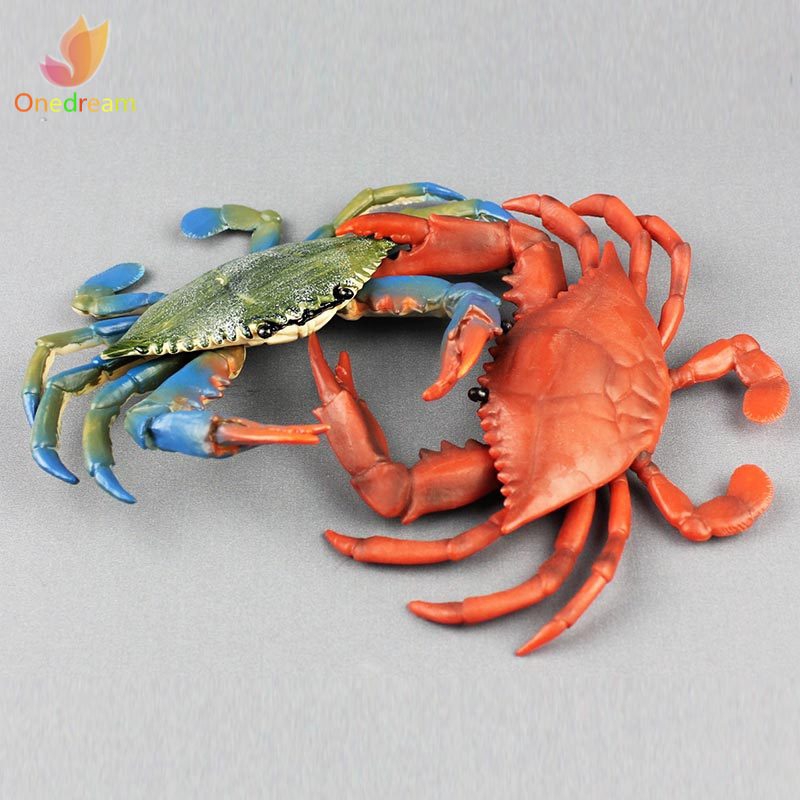 Đồ Chơi Mô Hình Con Cua Sống Động Cho Bé