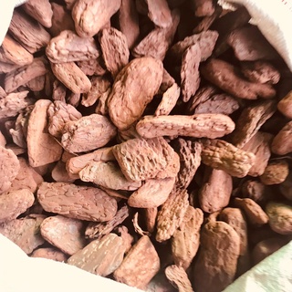 [Size 3*4cm] Vỏ thông các size lớn dành cho kiểng lá, gói 1kg  Chuyên Đỗ Shop