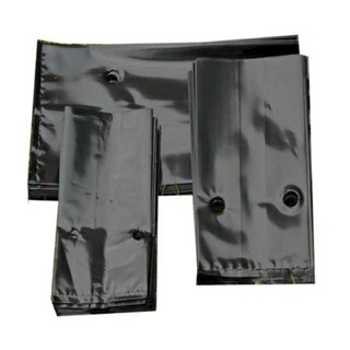 1 lạng bầu ươm cây chọn size