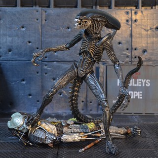 Mô hình Alien Contract Xenomorph - AVP Ailen vs Predator