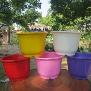 - Chậu nhựa tròn 26 x 17 cm, chậu nhựa trồng hoa cty chính hãng.