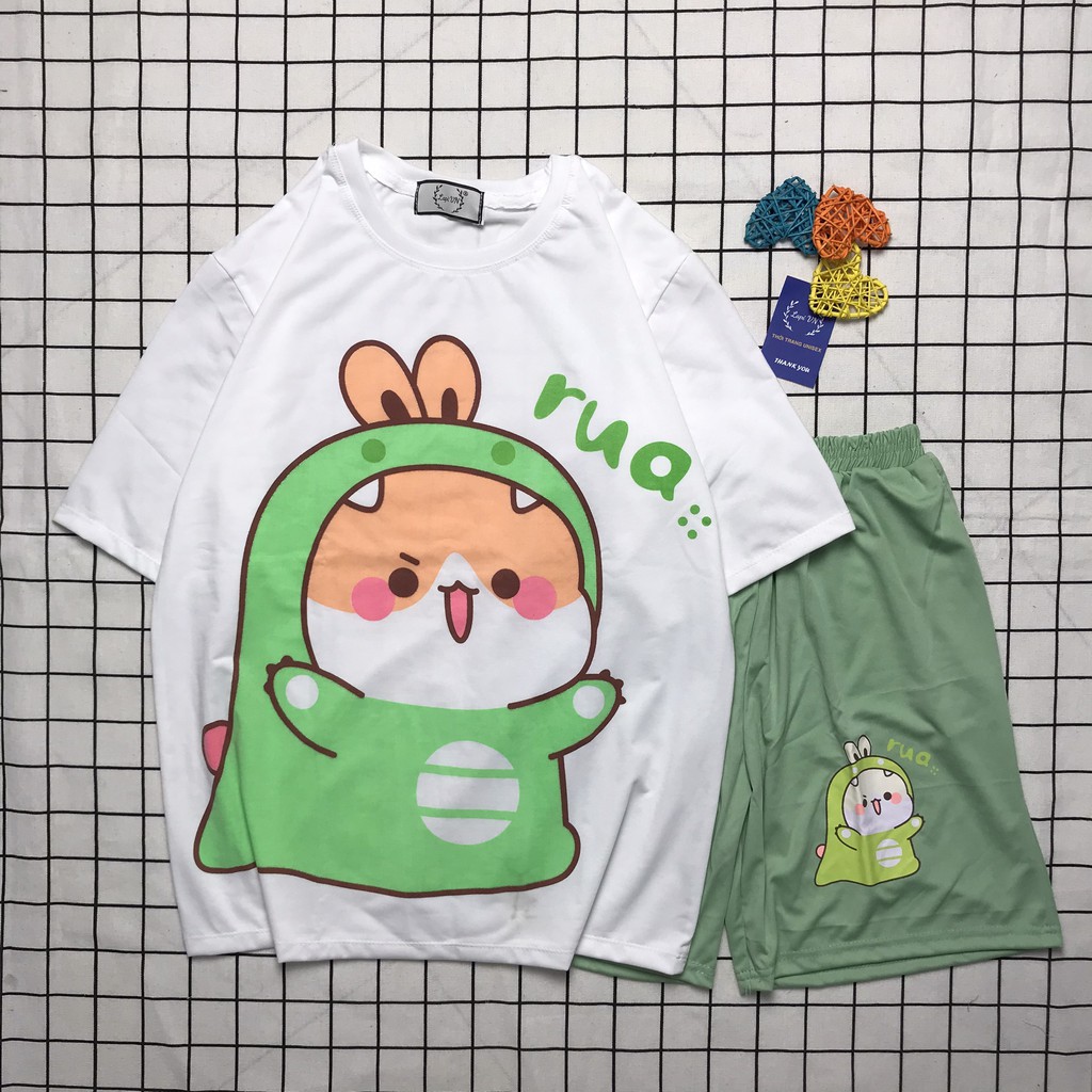 Đồ Bộ Nam Nữ Hoạt Hình Uniex Tay Lỡ Chibi RUA Lapi VN, Set Cartoon, Freesize, Thun Cotton Thoáng Mát