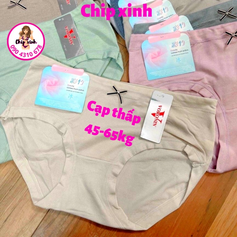 Quần Lót Nữ Cotton Big size Cạp Cao, Cạp Thấp Co Giãn, Mềm Mại, Thoải Mái Cao Cấp CHIP XINH SHOP