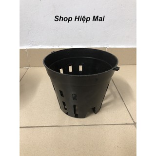 10 chậu nhựa trồng lan phi 16