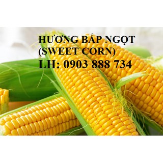 Hương bắp ngọt - sweet corn flavour