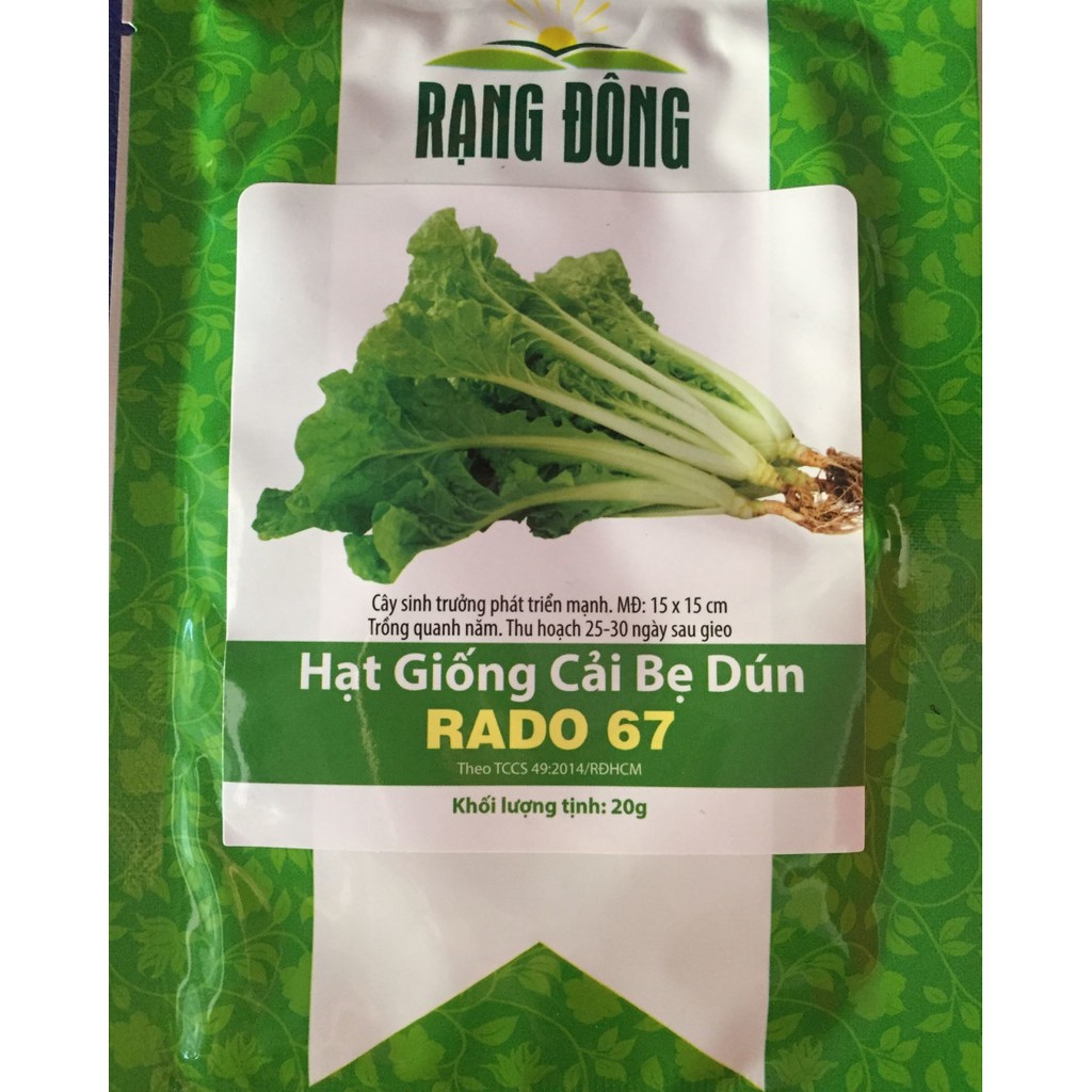Hạt giống cải bẹ dún Rạng Đông