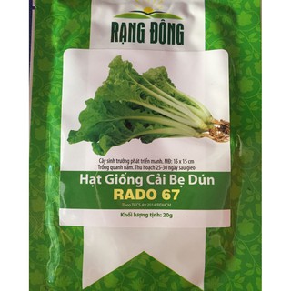 Hạt giống cải bẹ dún Rạng Đông