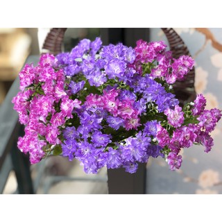 Hoa giả - Chùm Hoa Tường Vi Nhật 5 cành