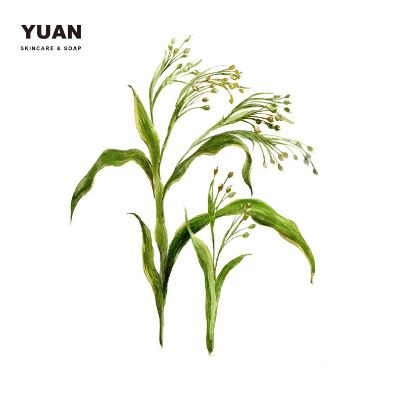 Xà Phòng Yuan Đậu Xanh & Ý Dĩ (Mung Bean) làm sáng da - 100g