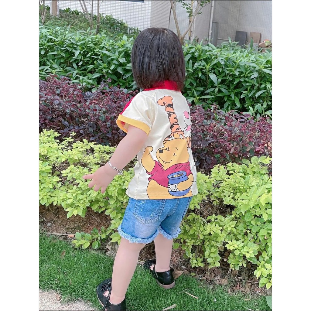 Áo cotton in hình gấu Pooh 2 mặt cho bé trai &amp; gái (N00764)