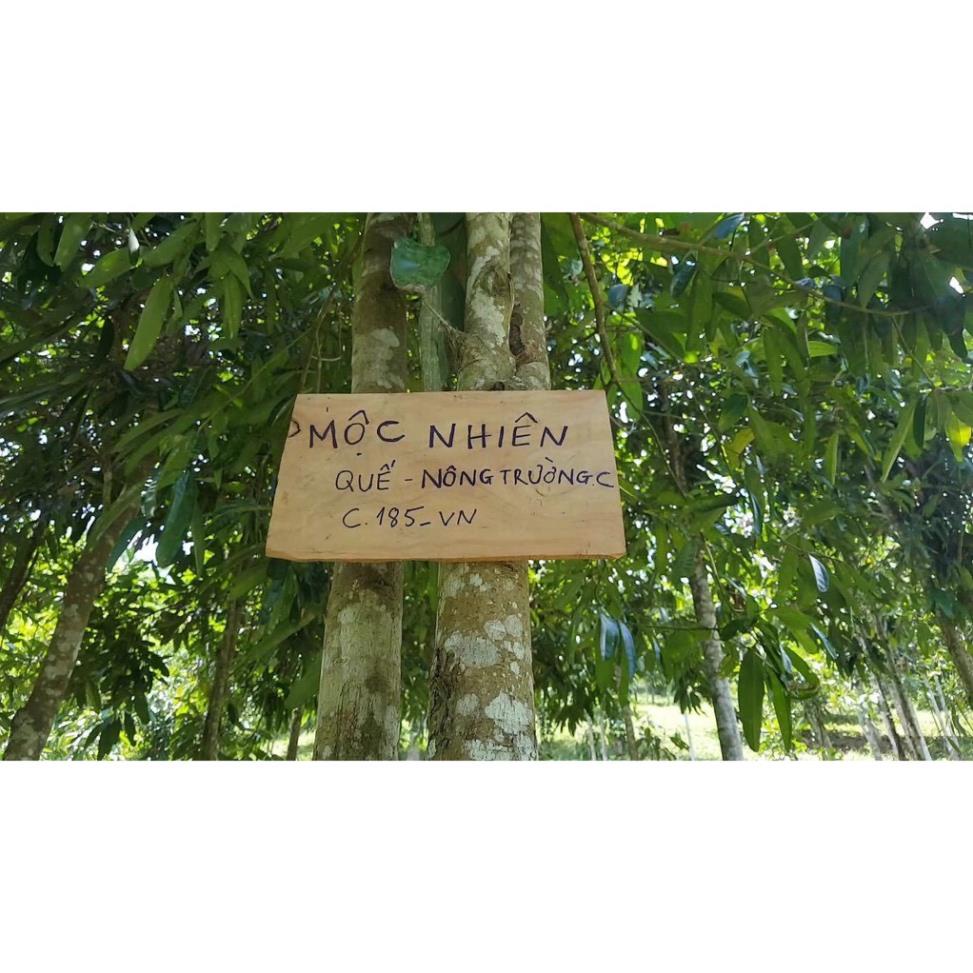 Tinh dầu treo xe ô tô Mộc Nhiên - Tinh dầu treo phòng100% Thiên Nhiên Tùy Chọn Mùi Hương