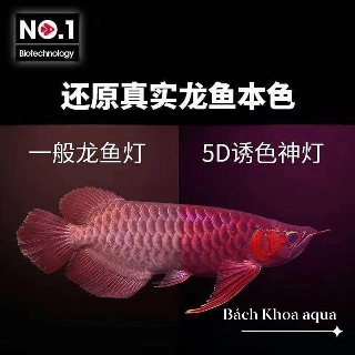 Đèn Led Taning No.1