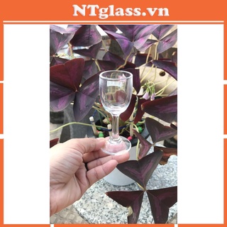 Ly rượu có chân 28ml-60ml DELI