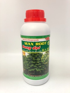 BUNG ĐỌT RA RỄ MAI VÀNG