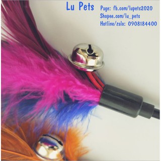 Que Lông Gà Trêu Mèo