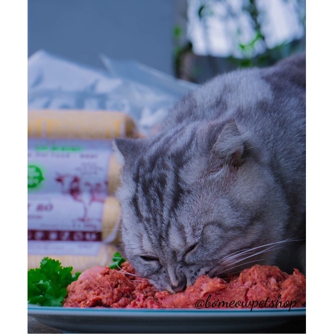 HI RAW- RAW CATFOOD thịt sống cấp đông diệt khuẩn công nghệ Châu Âu thanh 300g cho chó mèo