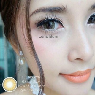 Lens nâu tây siêu vip, lens Hàn chính hãng Sexyme