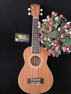 Đàn ukulele soprano VT-550