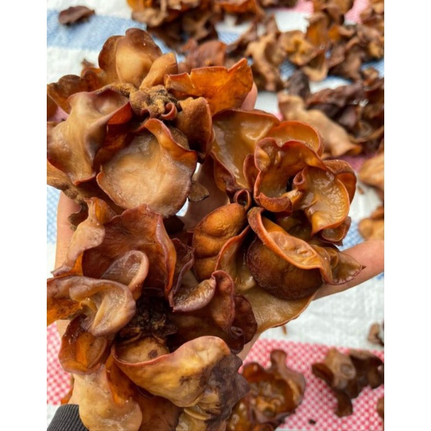 Mộc nhĩ rừng giòn thơm