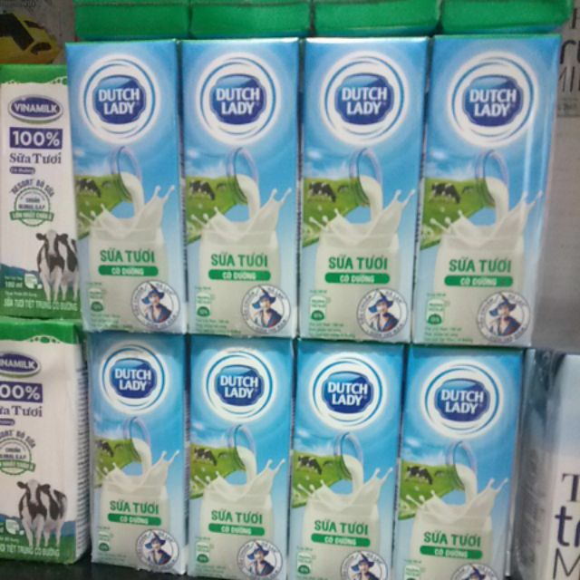 Combo 2 Lốc  sữa cô gái hà lan 180ml