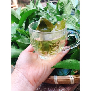 lá chè, trà xanh tươi 1kg ( giao hoả tốc hcm)