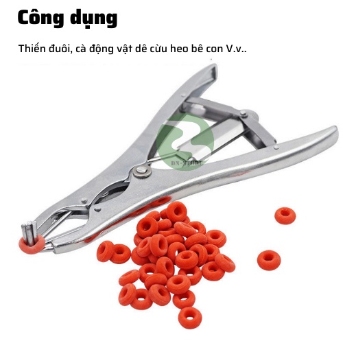 Set Kìm thiến đuôi heo bò dê vòng thiến heo DN44