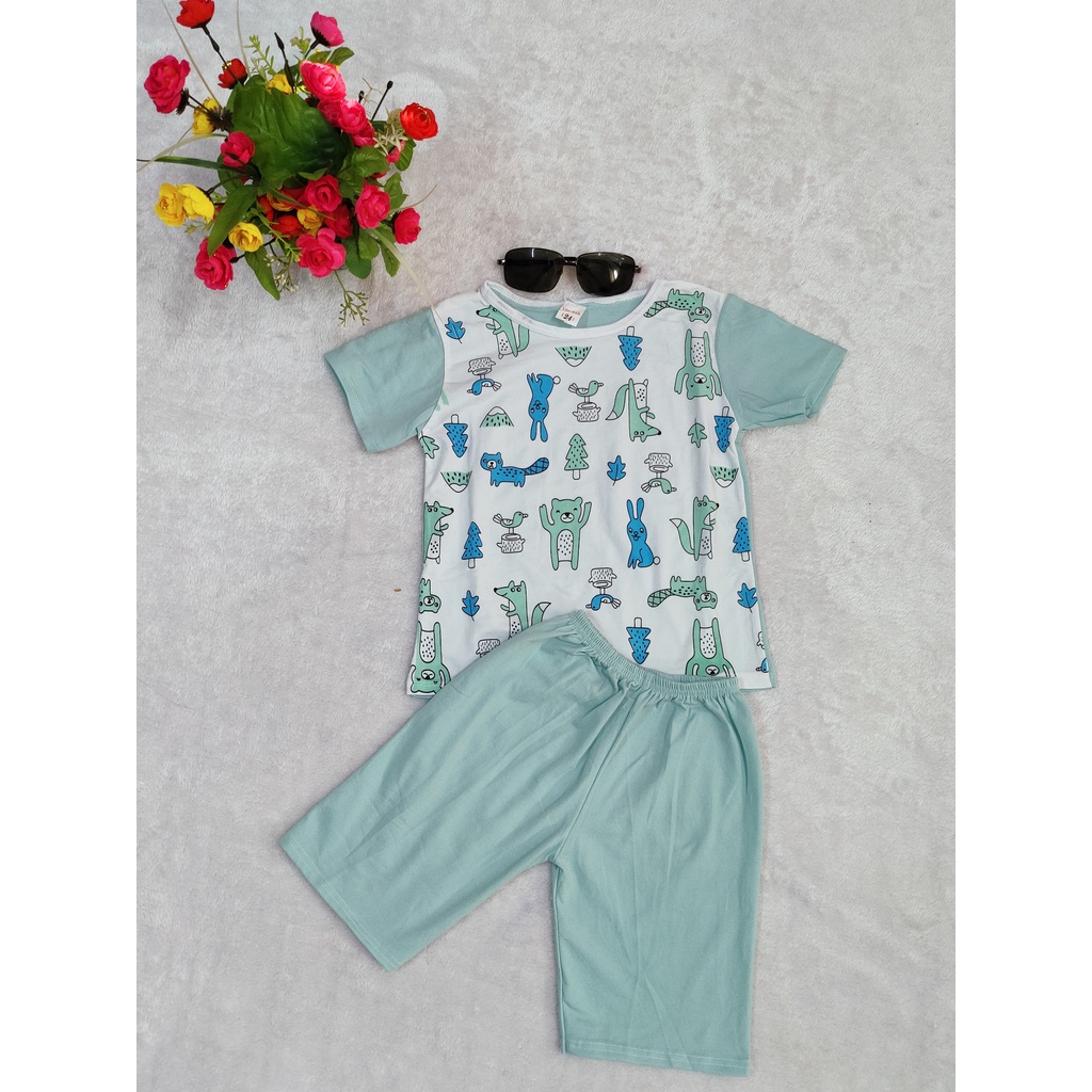 AP36 Bộ thun tay ngắn quần lửng bộ cộc tay mặc nhà in hình đủ màu cho bé chất vải cotton mềm co giãn thấm hút