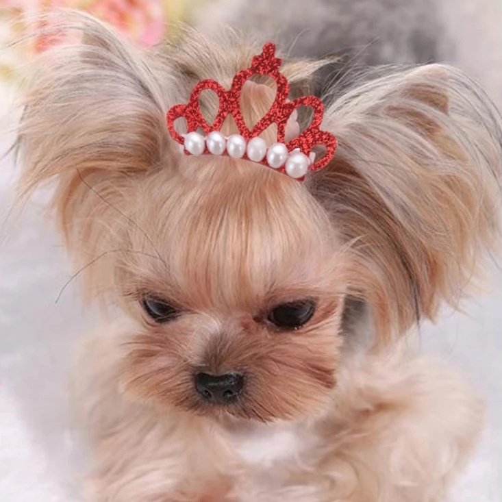 Kẹp TóC HìNh Nơ ĐíNh Kim Cương NgọC Trai Giả 5 MàU Dễ Thương Cho Thú Cưng