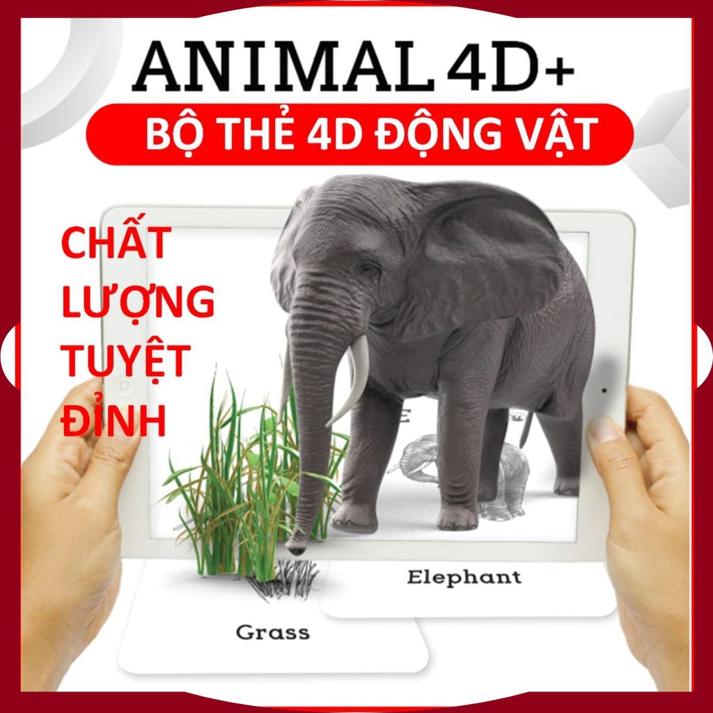 Bộ thẻ 4D, thẻ học thông minh động vật ANIMAL ươm mầm ước mơ trong tương lai - SHOP CU BIN
