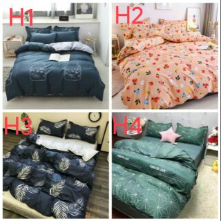 Bộ chăn ga gối cotton poly