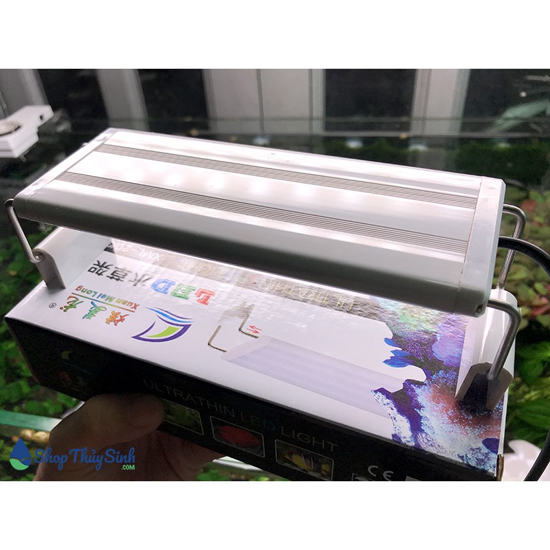 Đèn thủy sinh và cá cảnh XuanMeiLong 20cm-25cm