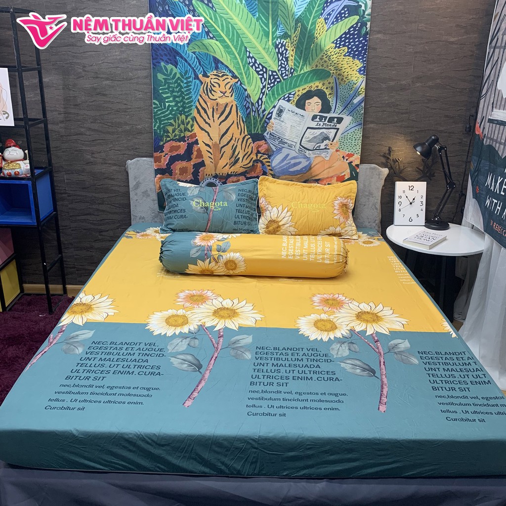 Bộ ga gối 4 món Thuần Việt Cotton Poly Cao cấp All Kiểu | BigBuy360 - bigbuy360.vn