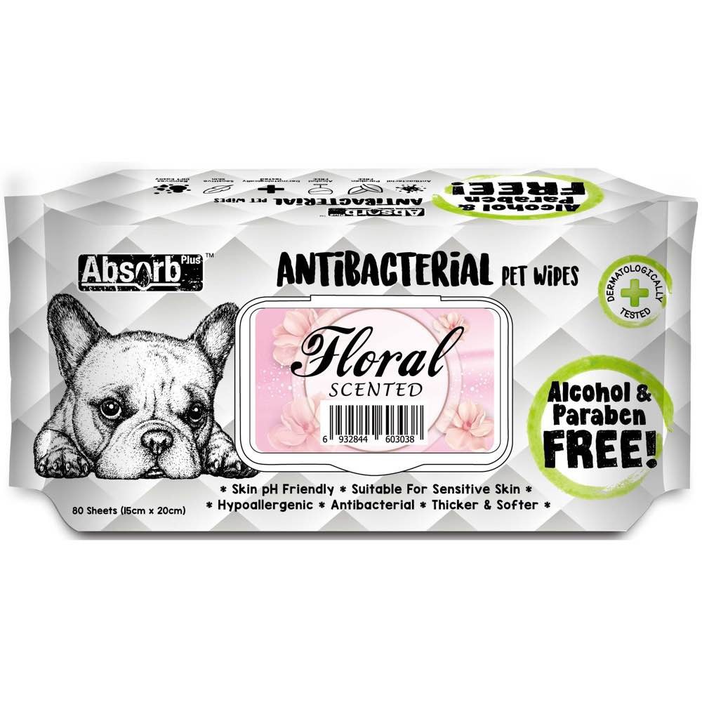 Khăn ướt kháng khuẩn cho chó mèo Absorb