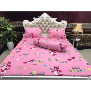 Combo 2 bộ ga thun Thái