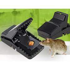 [ RẺ VÔ ĐỊCH ]Bẫy chuột thông minh , CẠM BẪY CHUỘT THÔNG MINH BẰNG NHỰA