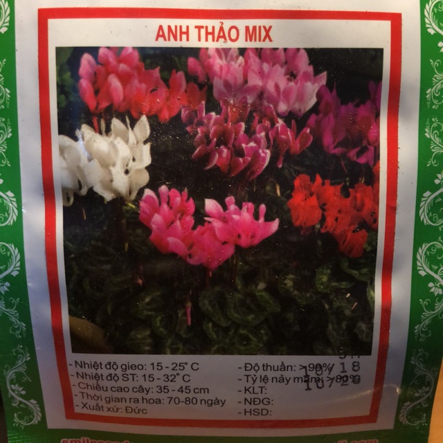 Hạt Giống Hoa Anh Thảo Mix5H