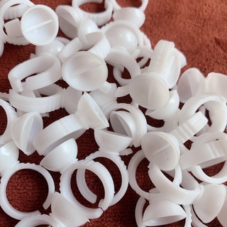 Nhẫn đựng keo nối mi ( 50 nhẫn)