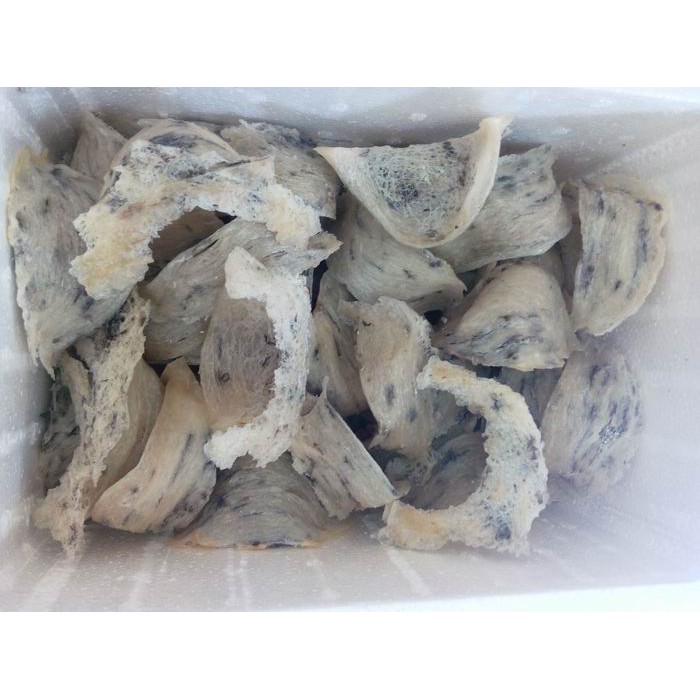 Tổ yến thô nhà nuôi - 100g