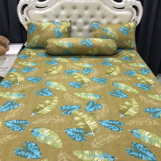 Bộ Drap Thun Hàn Quốc mát lạnh 4 món (Inbox nhiều mẫu lựa chọn)