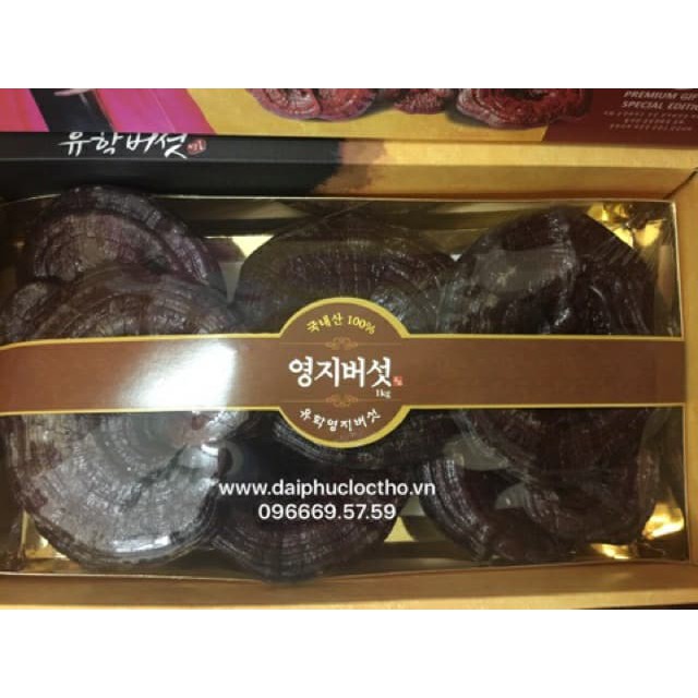 GIÁ SỐC: HỘP 1KG NẤM LINH CHI ĐỎ CAO CẤP HÀN QUỐC | BigBuy360 - bigbuy360.vn